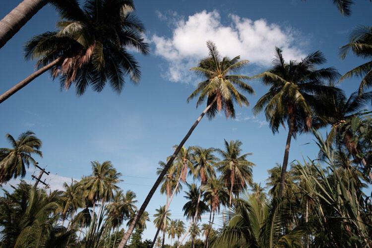 Coconut Tree Homestay Ban Wa Thon Exterior photo